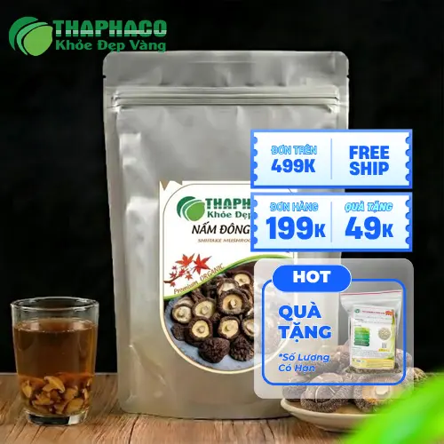 Nấm đông cô tươi – Lentinula edodes
