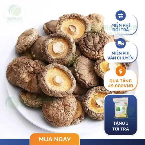 Lợi ích sức khỏe của nấm đông cô