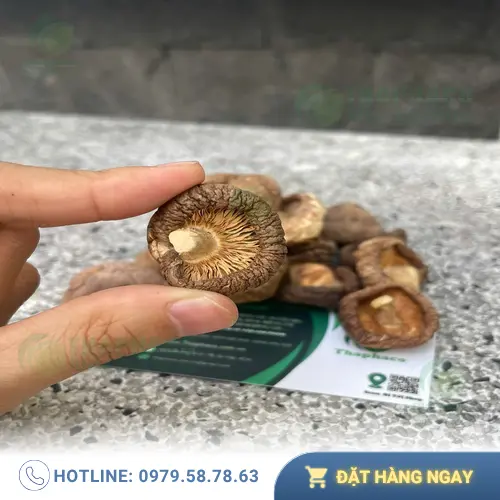 Mua nấm đông cô khô tại THAPHACO
