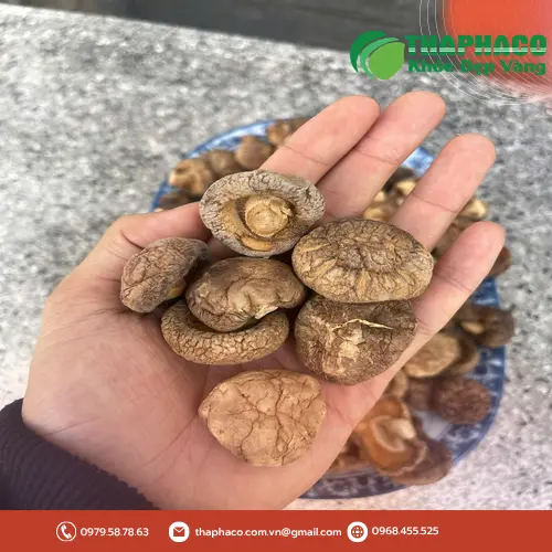 Món ăn từ nấm đông cô