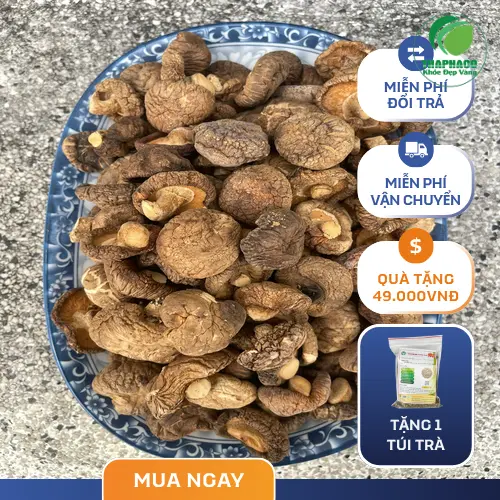 Mua nấm đông cô chất lượng tại THAPHACO