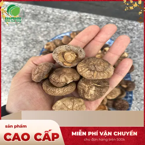 Địa chỉ mua nấm đông cô sấy khô THAPHACO tại TP.HCM