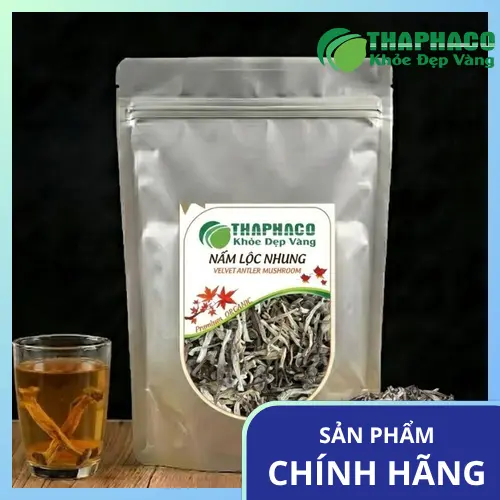 Nấm lộc nhung tươi