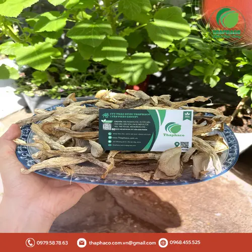 Phân biệt nấm lộc nhung khô và tươi