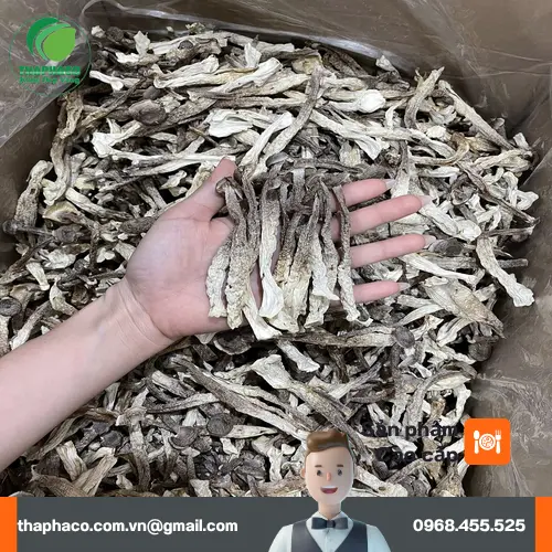 Cách chế biến Nấm Lộc Nhung Sấy Khô