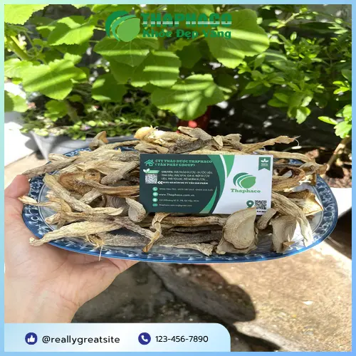 Trà nấm lộc nhung