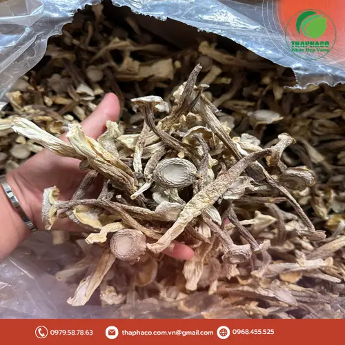 Quy trình đóng gói nấm lộc nhung khô tại THAPHACO