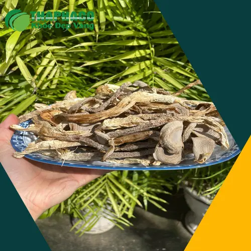 Nấm lộc nhung xào chay