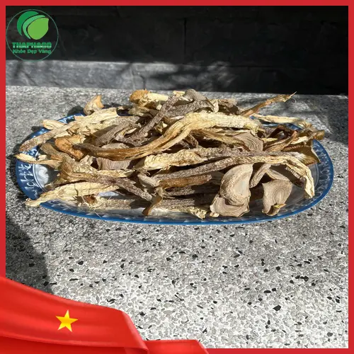 Quy trình chế biến nấm lộc nhung tại THAPHACO
