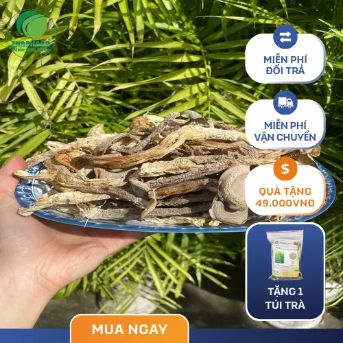 Canh nấm lộc nhung thanh mát