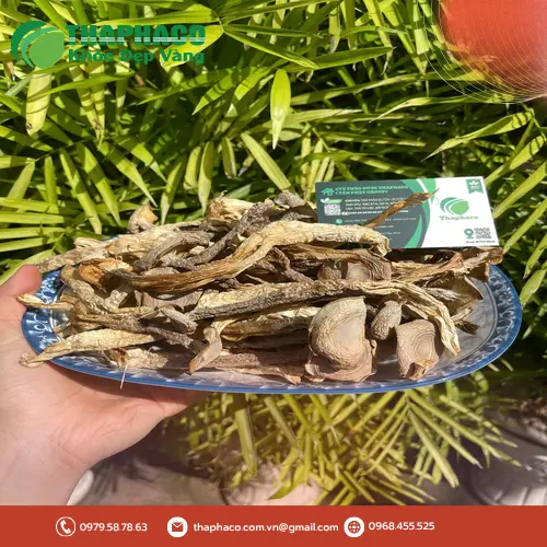 Cách dùng nấm lộc nhung tiện lợi