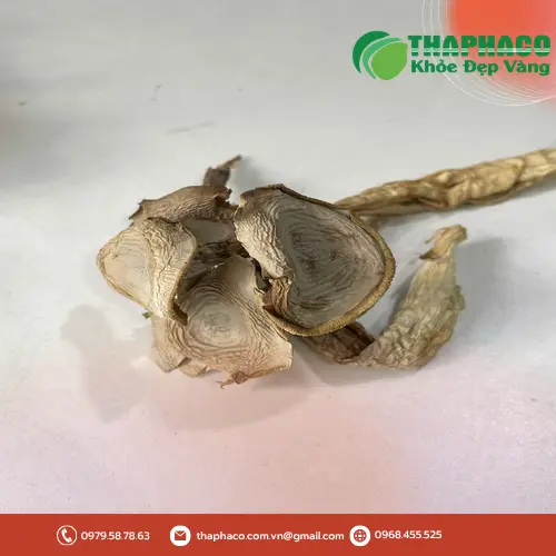Bảng giá và quy cách Nấm Lộc Nhung Sấy Khô THAPHACO