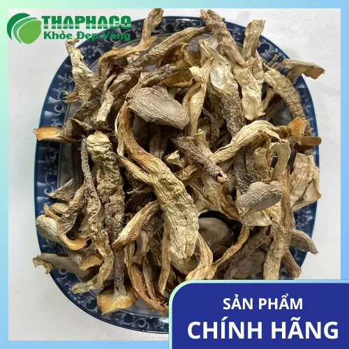 Nấm Lộc Nhung Khô THAPHACO - Nguồn sỉ uy tín cho đối tác