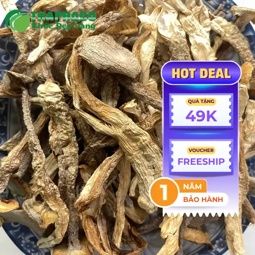 THAPHACO - địa chỉ cung cấp nấm lộc nhung khô chất lượng