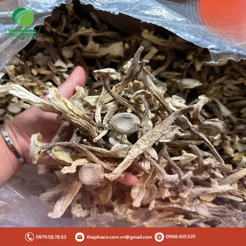 Nấm lộc nhung kho tộ chay