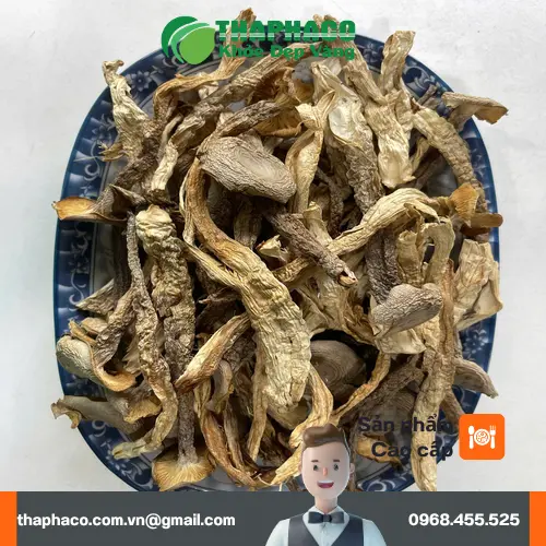 Đội ngũ THAPHACO sẵn sàng tư vấn nấm lộc nhung