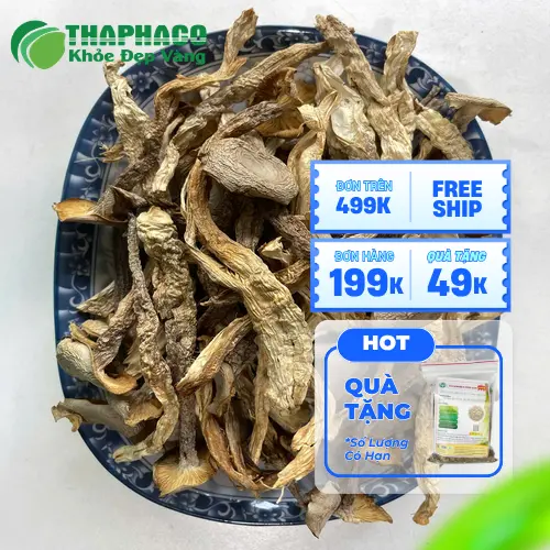 Cháo nấm lộc nhung phục hồi sức khỏe