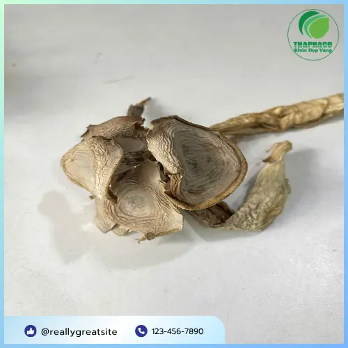 Sản phẩm nấm lộc nhung khô tại THAPHACO