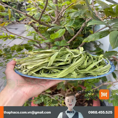 Công dụng hỗ trợ sức khỏe của rau tiến vua khô