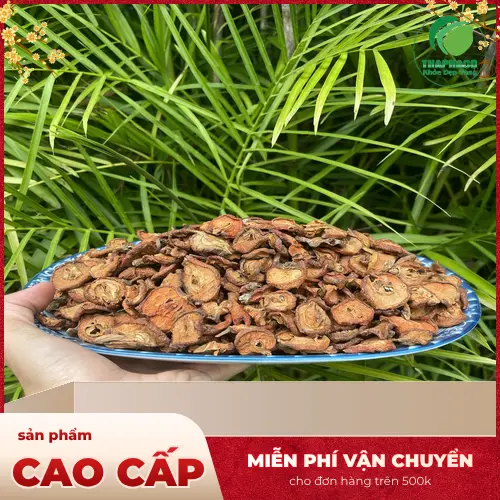 Táo mèo tươi - thảo dược hỗ trợ giảm mỡ máu tự nhiên hiệu quả