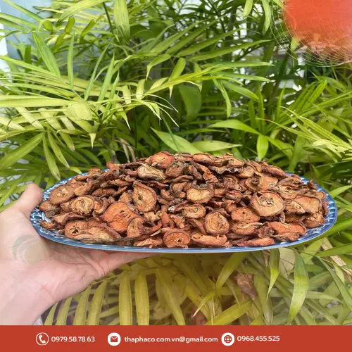 Đội ngũ chuyên gia THAPHACO tư vấn tận tình