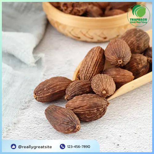 Thảo quả sấy khô tự nhiên chất lượng cao của Thảo Dược Tươi