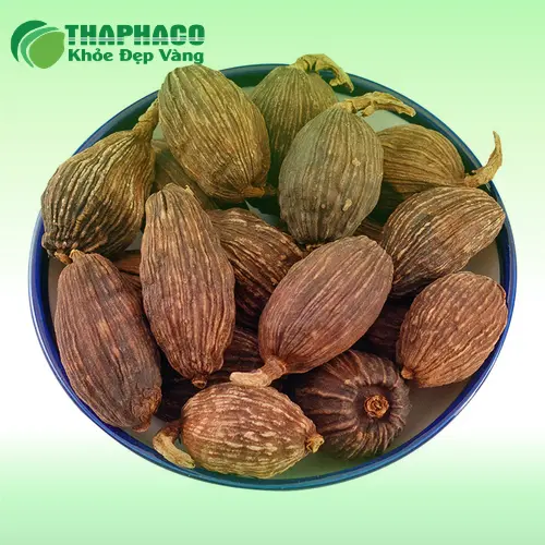 Thảo quả sấy khô Thảo Dược Tươi THAPHACO - gia vị và dược liệu quý