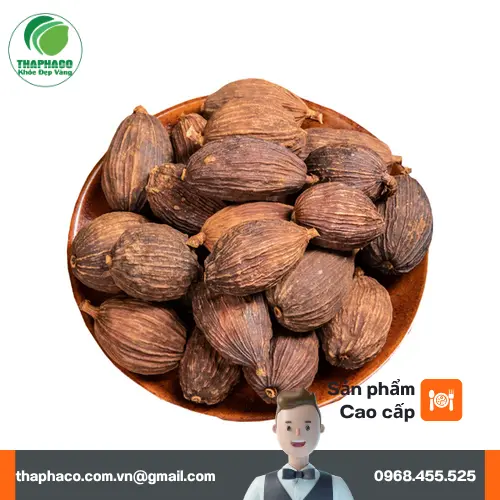 Thảo quả chất lượng cao của Thảo Dược Tươi THAPHACO, đảm bảo nguồn gốc sạch và an toàn cho sức khỏe