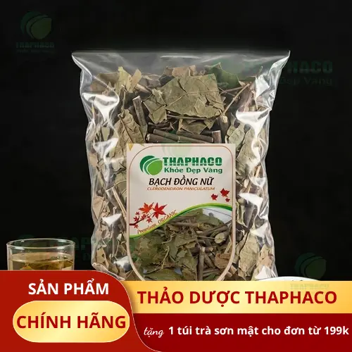 Cây Bạch Đồng Nữ - Thảo dược quý trong y học cổ truyền
