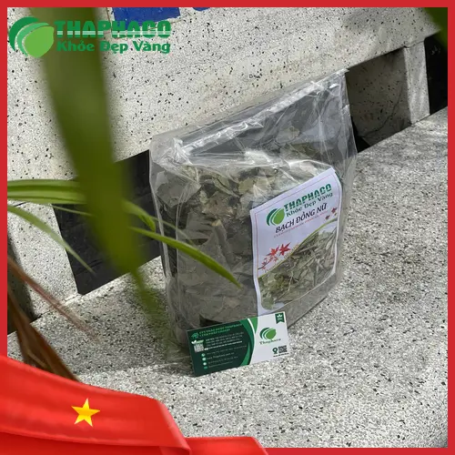Lá và hoa cây Bạch Đồng Nữ tươi