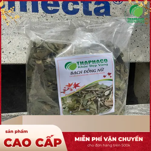 Tiêu chí chọn bạch đồng nữ khô loại 1