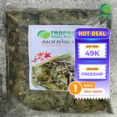 Bạch Đồng Nữ phơi khô để sử dụng làm dược liệu