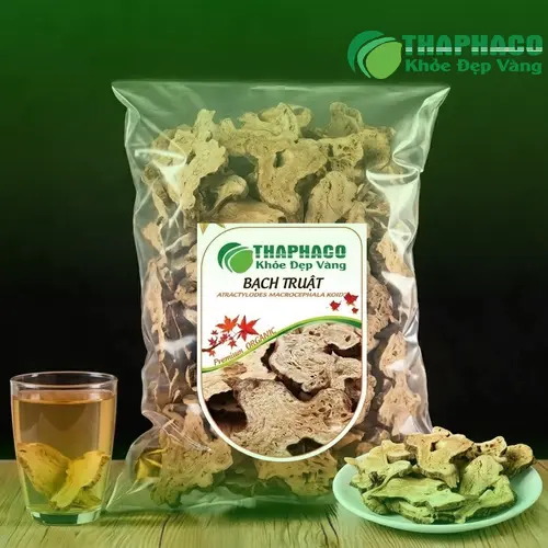 Hình ảnh cây Bạch Truật tươi