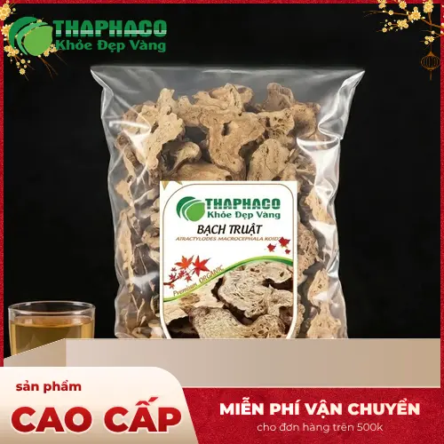 Bạch Truật khô - Thảo dược hỗ trợ tiêu hóa