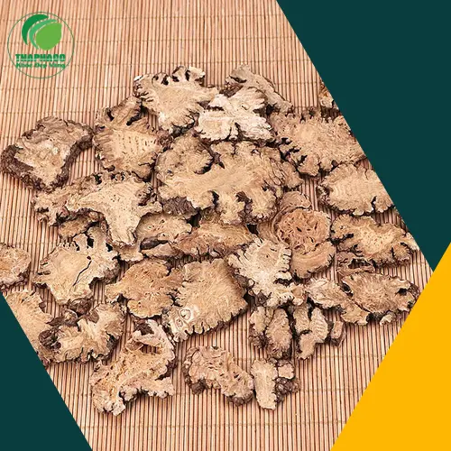 Bạch Truật hỗ trợ chức năng tiêu hóa