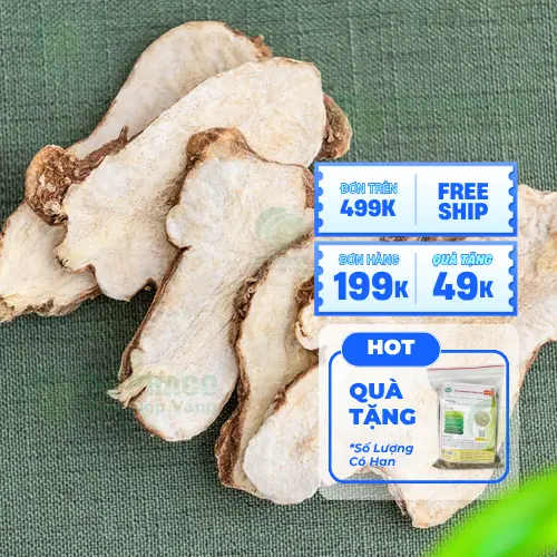 Phụ nữ mang thai cần thận trọng khi dùng Bạch Truật