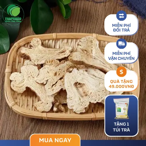 Bạch Truật khô đã được sơ chế