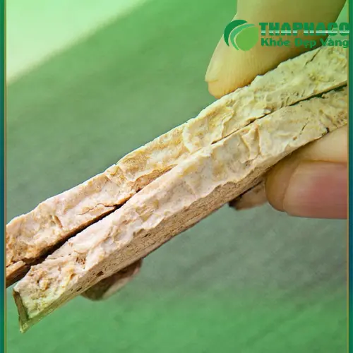 Trẻ nhỏ và người lớn tuổi cần thận trọng khi dùng Bạch Truật