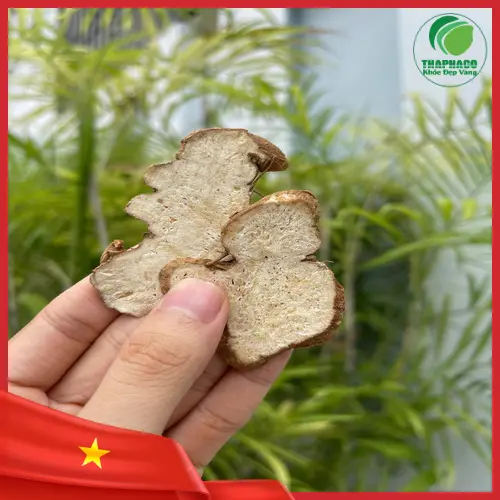 Sử dụng Bạch Truật an toàn theo hướng dẫn