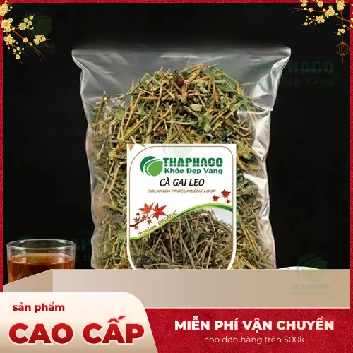 Cà gai leo sấy khô chất lượng THAPHACO