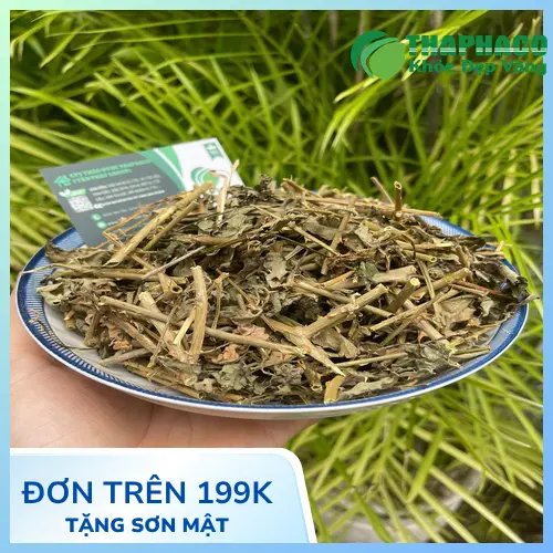 Cà gai leo khô đã được thái lát và phơi/sấy khô