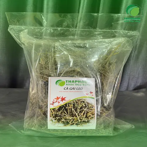 Trà cà gai leo khô trong ấm và ly