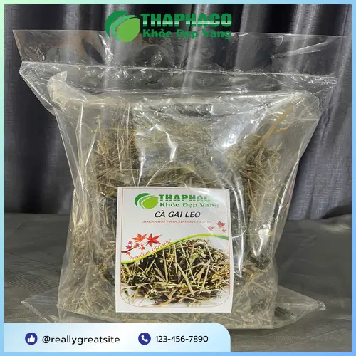 Những cành cà gai leo với quả chín đỏ tươi