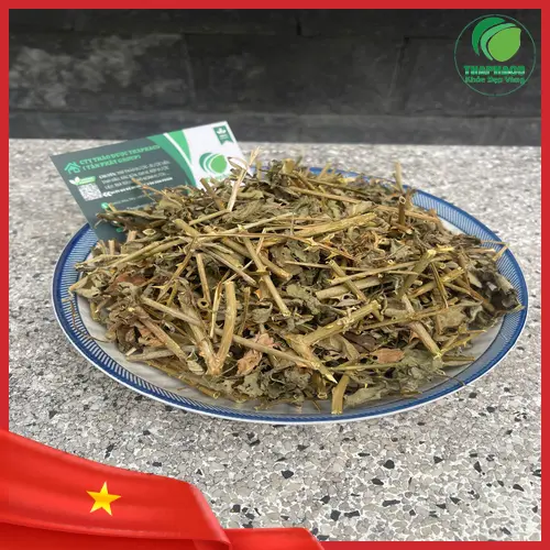 Một ly nước cà gai leo pha sẵn, thể hiện cách dùng phổ biến