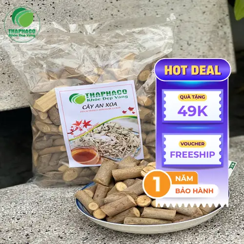 Hình ảnh cây An Xoa trong tự nhiên