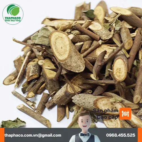Các thành phần hóa học nổi bật trong cây An Xoa