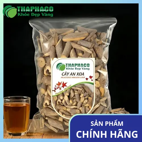 Hướng dẫn cách dùng cây An Xoa khô