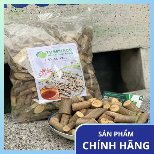 Cách dùng Cây An Xoa sấy khô THAPHACO