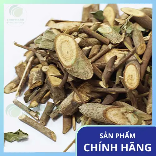 Tiêu chí chọn mua cây an xoa khô chất lượng tại THAPHACO
