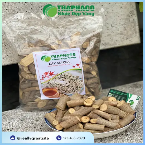 Cây An Xoa THAPHACO chất lượng tại TP.HCM